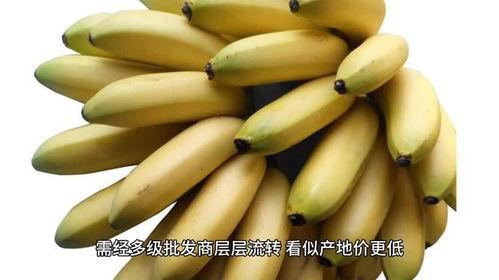 国产在线大香蕉,揭秘国内热门影视平台背后的故事